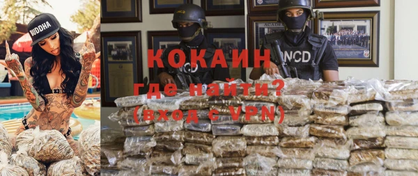 сатива Абаза