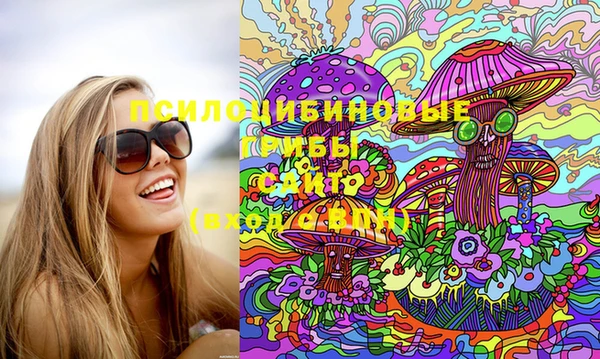 сатива Абаза