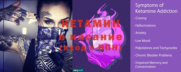 сатива Абаза