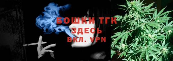 прущие грибы Абдулино